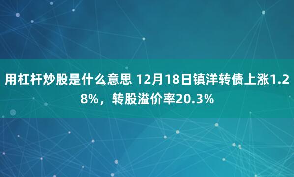 用杠杆炒股是什么意思 12月18日镇洋转债上涨1.28%，转股溢价率20.3%