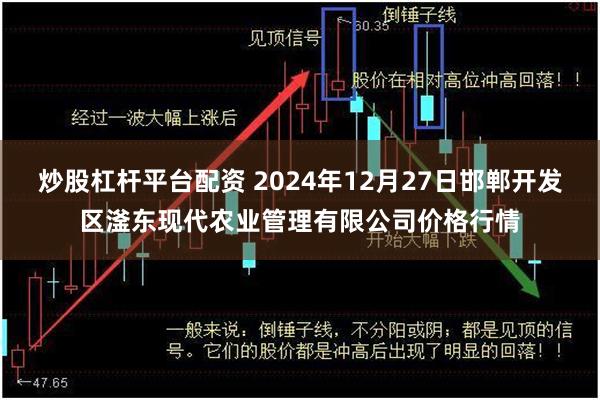 炒股杠杆平台配资 2024年12月27日邯郸开发区滏东现代农业管理有限公司价格行情