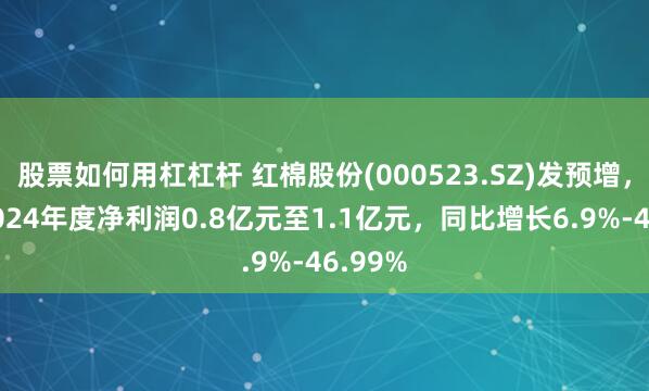 股票如何用杠杠杆 红棉股份(000523.SZ)发预增，预计2024年度净利润0.8亿元至1.1亿元，同比增长6.9%-46.99%