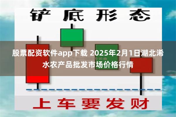 股票配资软件app下载 2025年2月1日湖北浠水农产品批发市场价格行情