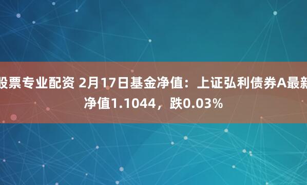 股票专业配资 2月17日基金净值：上证弘利债券A最新净值1.1044，跌0.03%